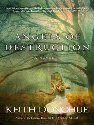 cover image of Angels of Destruction